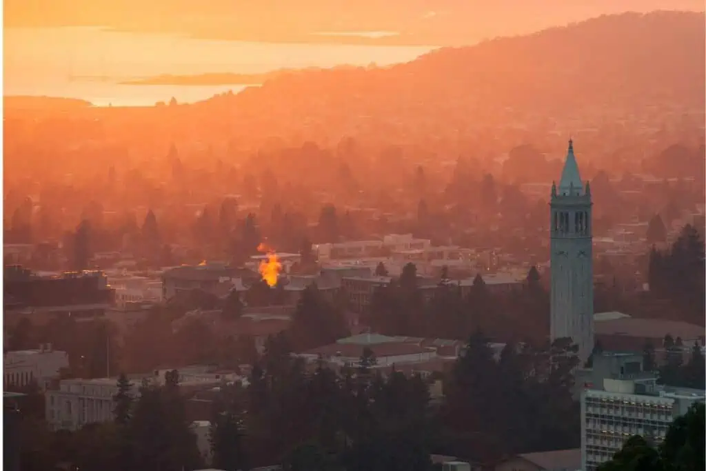 15 Best Coffee Shops In Berkeley, California