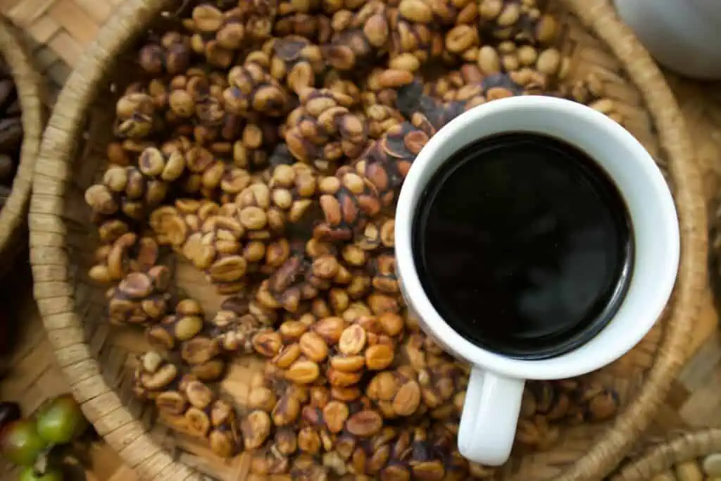 kopi luwak coffee